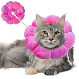 Caslfuca Dog Cat Surgical Recovery Cone, Pet Protective Collar, Soft Neck Cone to Stop Licking Wound for Cats & Kittens, Small Dogs After Surgery
