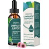 VITENIIM Lymphatic Drainage Drops for Lymph System Detox Cleanse，Lymphedema Support
