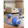 BLOOOK Interactive Cat Toy Self-Employment, Magic Ball Cat Balls, Interactive