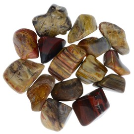 Digging Dolls: 1/2 lb Tumbled Petrified Wood Stones from Madagascar - 0.75" to 1.50" Avg Rocks for Crafts, Art, Crystal Healing, Wicca, Reiki and More!