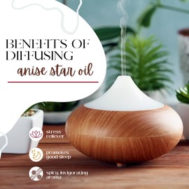 Anise Star Essential Oil - 8 fl oz (237 ml) Aluminum Bottle w/Plug and Cap - 100% Pure Essential Oil - GreenHealth