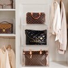 HBlife 3 Pack Purse Storage Organizer for Closet, X-Large Clear