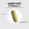 Codeage Leaky Gut Supplement, L-Glutamine, N-Acetylglucosamine, Probiotic, Butyric Acid, Polyphenols,