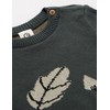 Müsli by Green Cotton Baby Boys' Forest Knit Pullover Sweater,