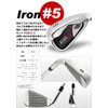 WORLD EAGLE F-01α #5 Iron Right Handed Flex SR