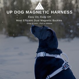 Strong & Secure Magnetic Dog Harness with Easy Lock Buckle - Comfortable No-Pull Vest for Small, Medium & Large Dog Breeds (Medium)