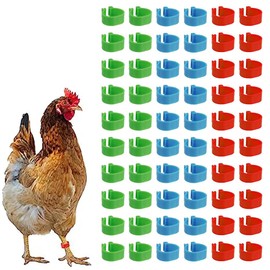 AYVRUOP Chicken Rings, Poultry Band, Plastic Poultry Leg Rings, Pack of 60, Lightweight and Durable, Suitable for Chickens, Ducks, Pigeons and Other Small Animals, beige