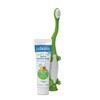 Dr. Brown's Dr. Brown's Baby and Toddler Toothbrush Set, Green