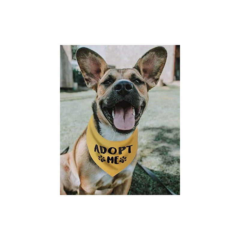 Adopt Me - Bandana para perros, Paquete de 3