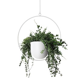 ABETREE Hanging Planter Indoor Modern Boho Plant Pot Metal Wall and Ceiling Hanging Planter Holder Mid Century Minimalist Flower Pot for Hanging Plants, White