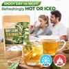 NHAT ANH FARM - Premium Bay Leaf Tea Bags, 40