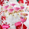 LILIDASO Empty Giant Plastic Lollipop Container,12 PCS Party Favor Container,