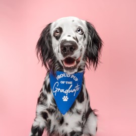 Proud Pup of The Graduate Dog Bandana | 100% Cotton Triangle | Made in USA | Graduation Prop | Class of 2025 2026 2027 2028 |Red, One Size (737)