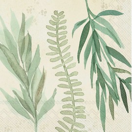 IHR Ideal Home Range Cocktail Napkins Disposable 3-Ply Paper Party Napkin Pack, 5" x 5", Leaf And Stem Leaves (Cream), 20-Count