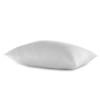American Hotel Register - Registry Comfort Basics Pillow (2 Standard