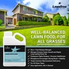 Balanced 16-4-8 Nutrient Liquid Fertilizer (1 Gallon) - Premium Lawn