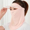 Face Rash Guard Mask 1+1 Balaclava Hat Summer Golf Mask Pink Blue