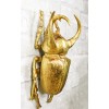 Ebros Gift Medium Gold Resin 3 Horned Rhinoceros Beetle Wall