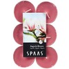 Spaas 12 Scented Maxi Tealights, 10 Hours, Magnolia Blossom, Rose