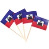 JBCD Haiti Toothpick Flag Haitian Mini Small Cupcake Topper Flags,