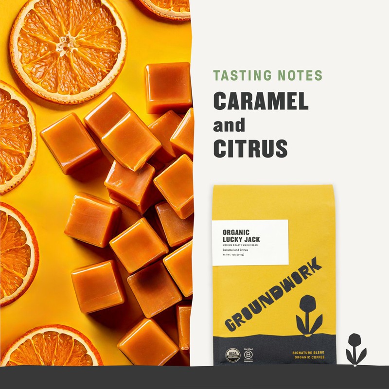 Groundwork Certified Organic Whole Bean Coffee, Lucky Jack, 12 oz