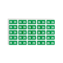 Smead ETS Color-Coded 2026 Year Labels, 1" x 1/2", Pack of 250, Green (67926)