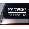 Volleyball It's What I do Sticker 8" Decal Sand Beach