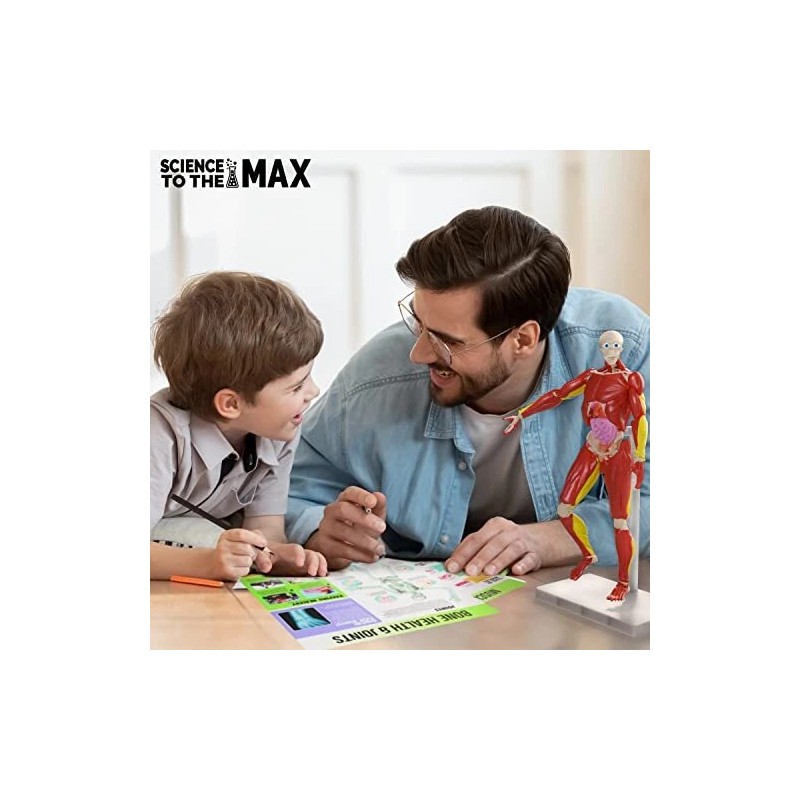 Be Amazing! Toys Interactive 3D Human Body Puzzle Model STEM