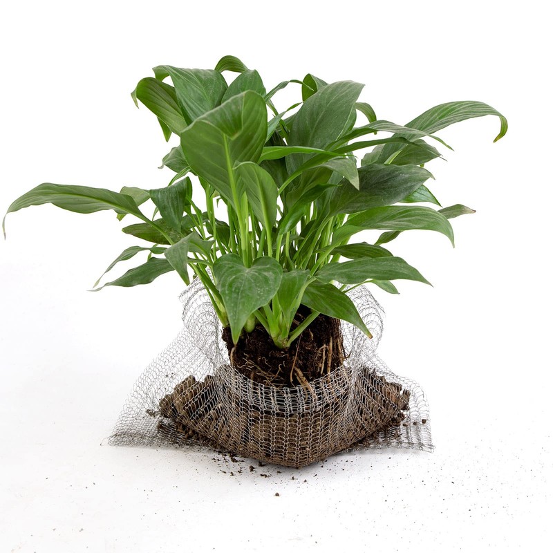 Root Guard Gopher Proof Wire Basket Mole and Vole Mesh