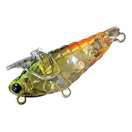 SMITH LTD Large Cicada Shell #34 Chart Head