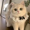 TCYYNEK Cat Collar, Dog Collar, Ribbon, Cute Collar, Cat Shape,