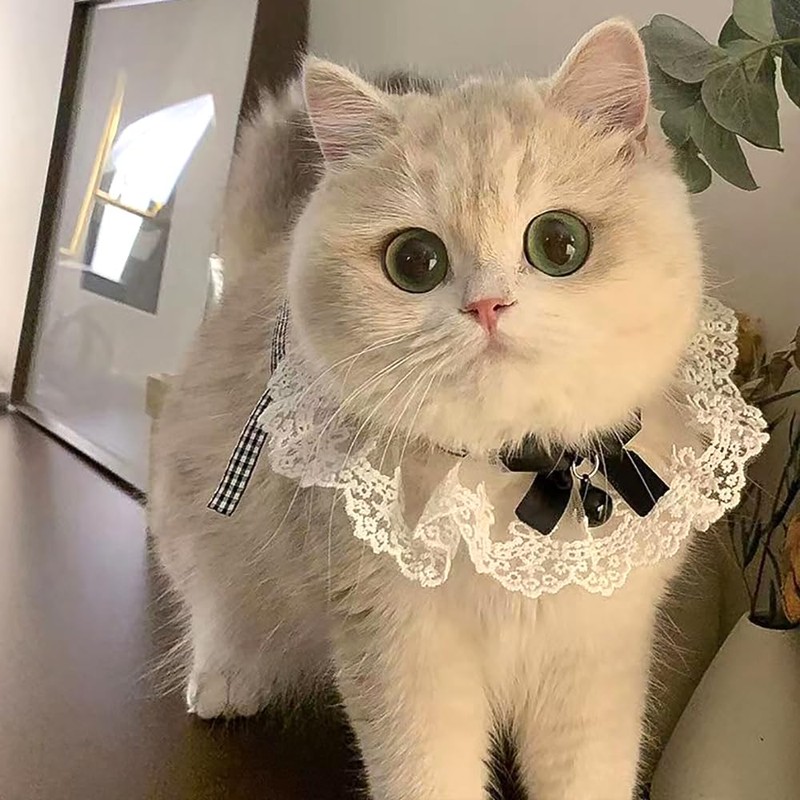 TCYYNEK Cat Collar, Dog Collar, Ribbon, Cute Collar, Cat Shape,