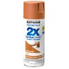 Rust-Oleum 267118 Painter's Touch 2X Ultra Cover Spray Paint, 12