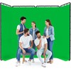 7.87ft x 13.12ft Green Screen Backdrop with Stand, Large Professional