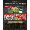 ホットバーン ガルシニア 420mg ブラックジンジャー 120mg エラグ酸 3.1mg ダイエットサプリ HOTBURN 180錠