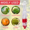 30 Packs Watermelon Hammock Mesh Bags-2 Colors Melon Hanging Net