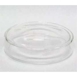Chang Bioscience Pack of 2 Glass tissue culture plate petri dish lab 100 mm 4"  biology glassware