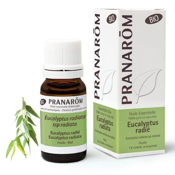 Pranarom Huile essentielle Bio d'Eucalyptus radié Pranarom, 10 ml