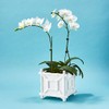 Two's Company Faux Bamboo Cachepot, 7.75-Inch, White, Ceramic
