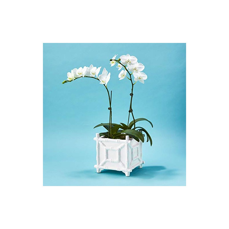 Two's Company Faux Bamboo Cachepot, 7.75-Inch, White, Ceramic