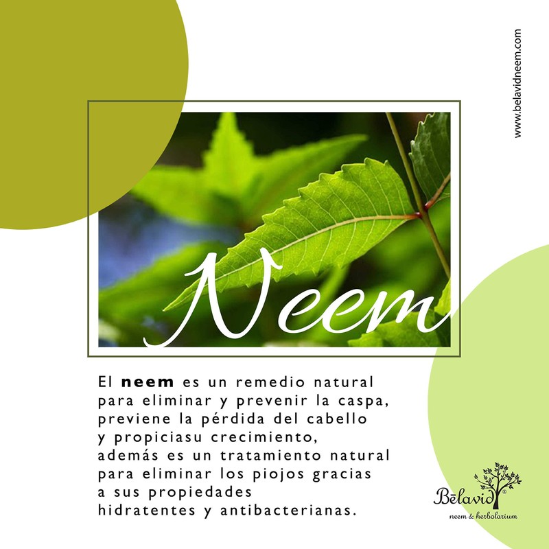 Extracto de Neem 50ml y shampoo control caída Neem 350ml