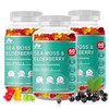 BIO VITALICA Sea Moss Gummies Elderberry BioVitalica - Vitamin C