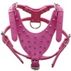 haoyueer Leather Spiked Studded Medium & Large Dog Collars, Harnesses