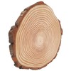 Natural Wood Slices Unfinished Wood Circles Ornaments Irregular Wood Slices