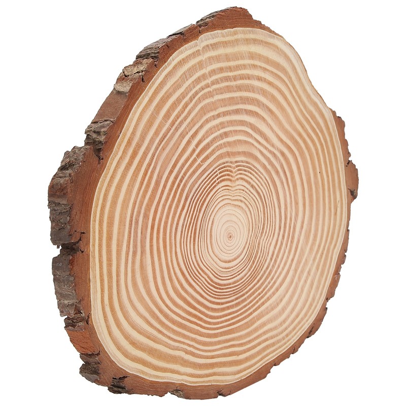 Natural Wood Slices Unfinished Wood Circles Ornaments Irregular Wood Slices