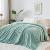 NEWCOSPLAY Super Soft Queen Blanket New Sage Green Premium Silky