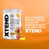 Scivation XTEND Original BCAA Powder - Sugar-Free Muscle Recovery with
