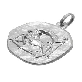 trendor Capricorn Zodiac Sign with Necklace 925 Silver Diameter 16 mm Zodiac Sign Pendant Sterling Silver for Women, Men or Children, 08441-01, Sterling Silver