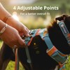 RUFFWEAR Front Range Dog Harness, Reflective Y-Harness, Adjustable, Comfortable Padded
