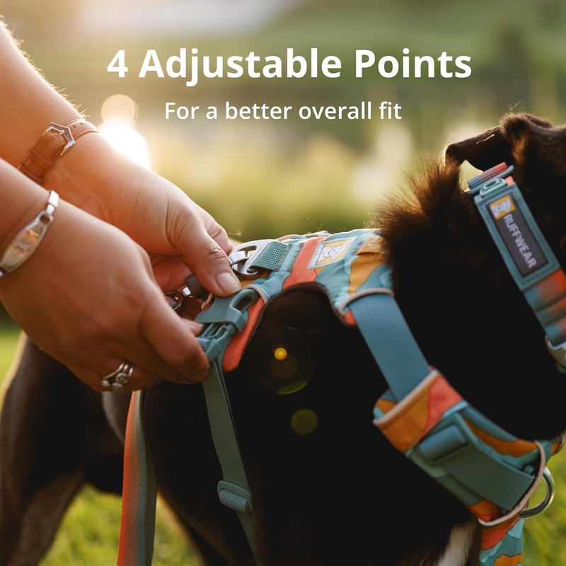RUFFWEAR Front Range Dog Harness, Reflective Y-Harness, Adjustable, Comfortable Padded